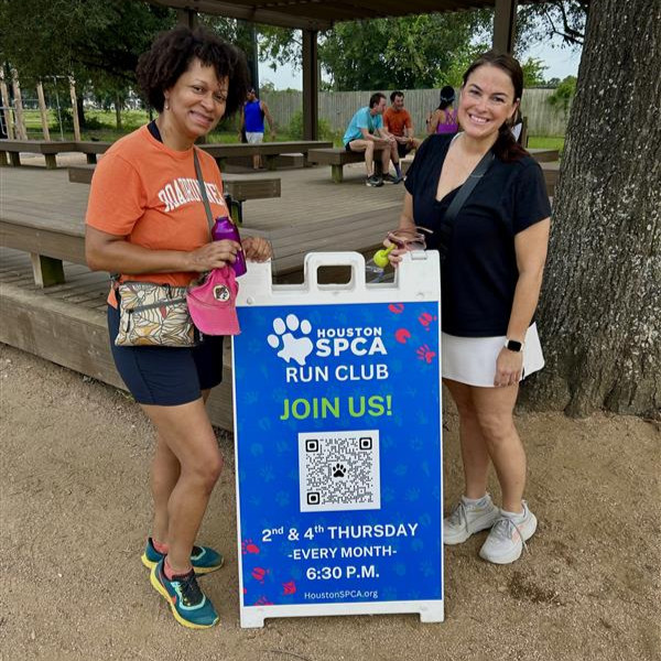 Houston SPCA (@houstonspca) on Twitter photo 🏃♂️🐾 Lace up and leash up! The Houston SPCA Run Club meets tomorrow, August 14 6:30 P.M., at the Memorial Park Stretching Deck for a fun and energizing run/walk around the 3-mile loop runners and leashed pups welcome!
For more info, email community@houstonspca.org. 🏃♂️🐾 Lace up and leash up! The Houston SPCA Run Club meets tomorrow, August 14 6:30 P.M., at the Memorial Park Stretching Deck for a fun and energizing run/walk around the 3-mile loop runners and leashed pups welcome!
For more info, email community@houstonspca.org.