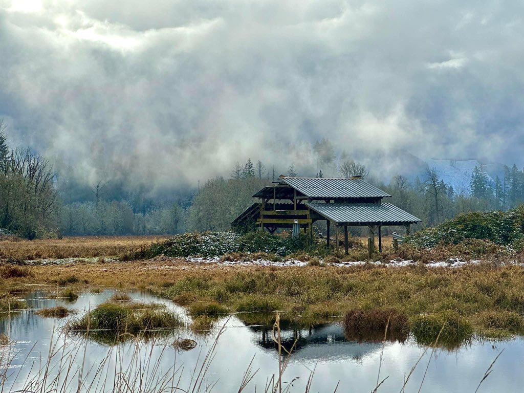 BrooksRangeGreg's tweet photo. @thequeenofrust Similar, but this is our “neighborhood” in the Cowlitz River Valley, WA. https://t.co/AmRlVD7t7d