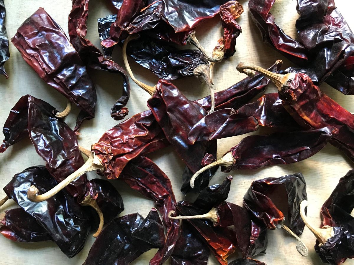 AdventureKitche's tweet image. [Recipes] How to cook with Mexican oregano - mailchi.mp/adventurekitch…