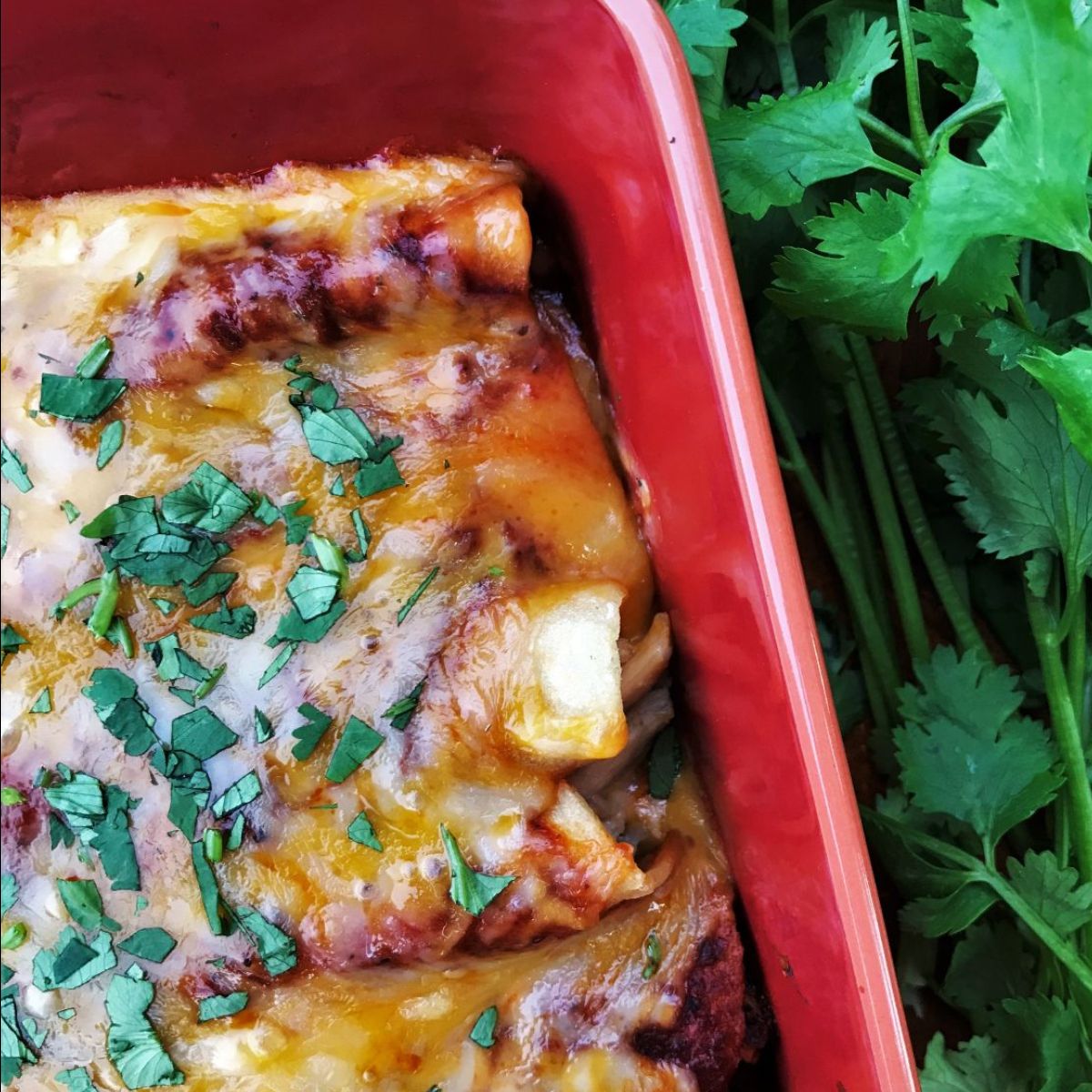 AdventureKitche's tweet image. [Recipes] How to cook with Mexican oregano - mailchi.mp/adventurekitch…