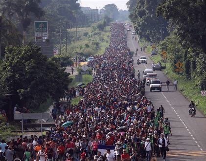 🚨BREAKING: Stephen Miller, a senior Trump Advisor,  is trying to exclude illegal aliens from the U.S. census, which removes  House seats from  Blue states like California, New York etc.

Do you support excluding illegals from the U.S. census?

1. Hell Yes
2. No