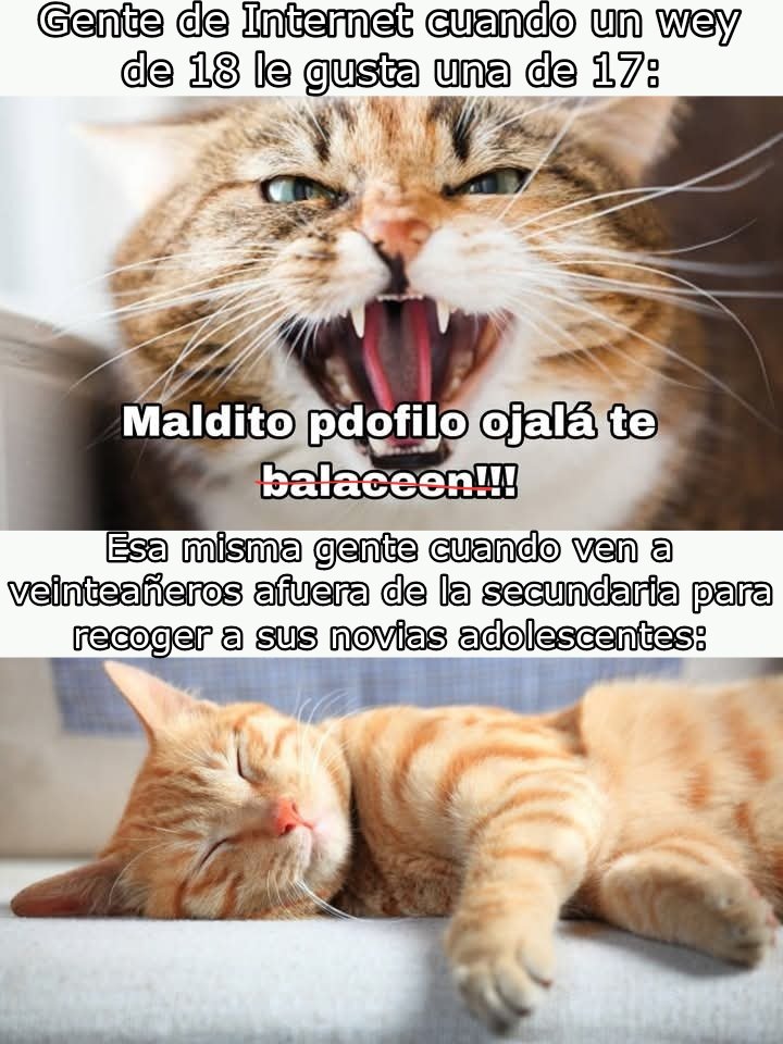 Darugiss's tweet photo. @MenserThe https://t.co/HQh0XLST1u