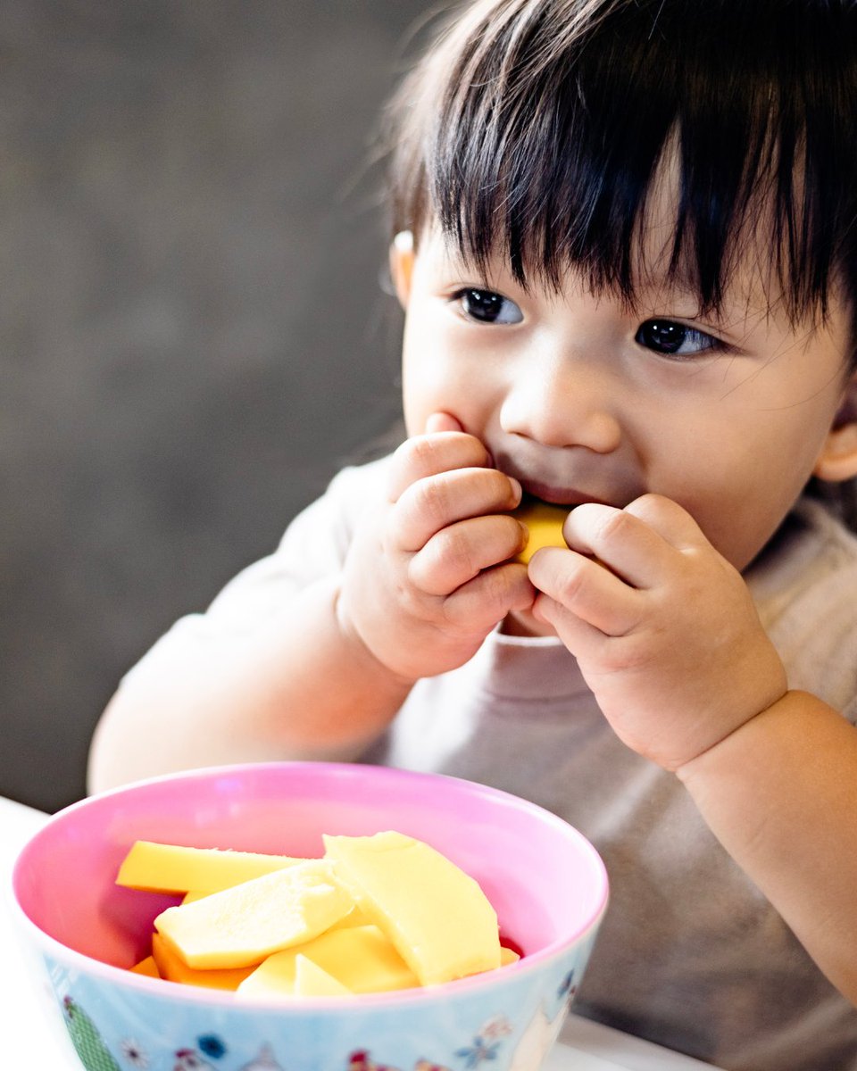 Food Plant Solutions tweet media