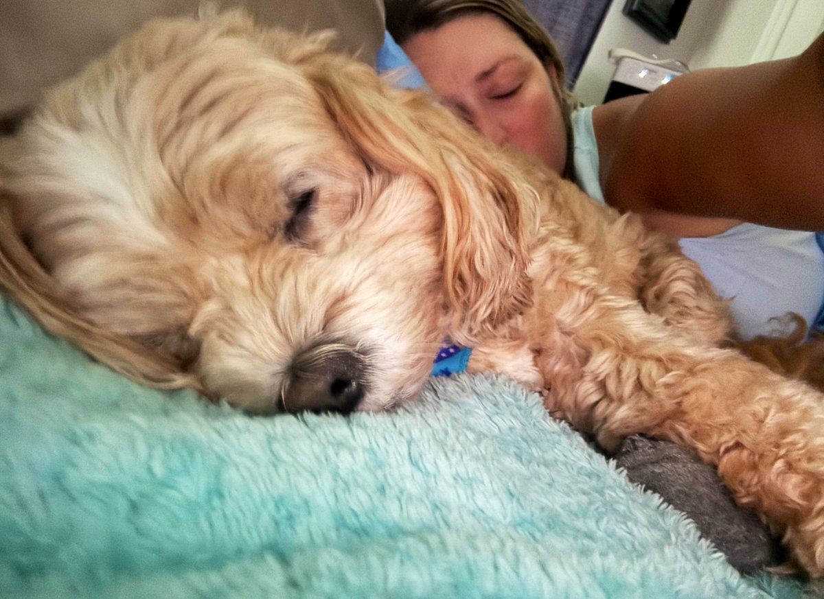 Nap time this afternoon ☺️🩵