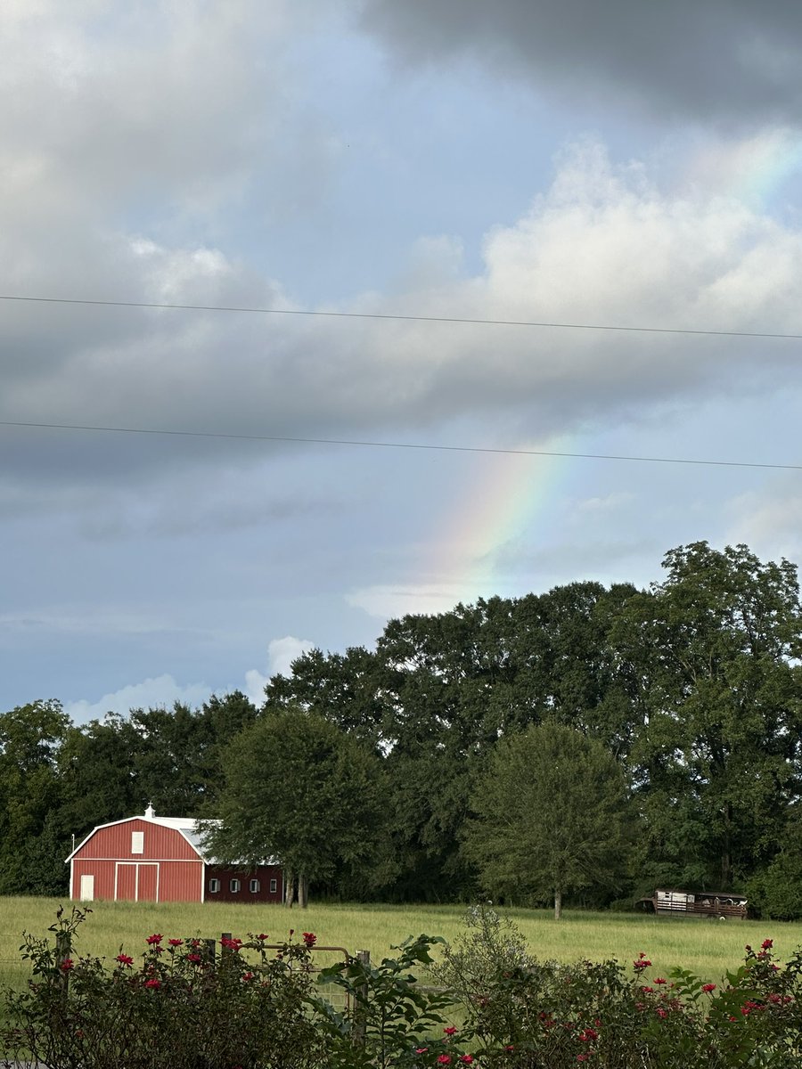 robingray91's tweet photo. @spann 🌈 views in Chilton County https://t.co/HsILBPWmxE