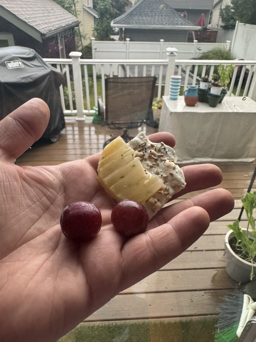 worms on switch tweet media