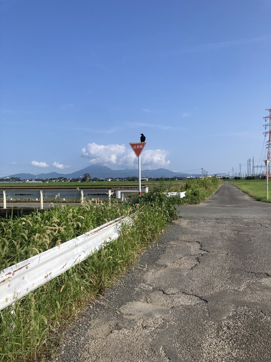 ここから先は命は無いぞと脅迫されたバイオな一枚