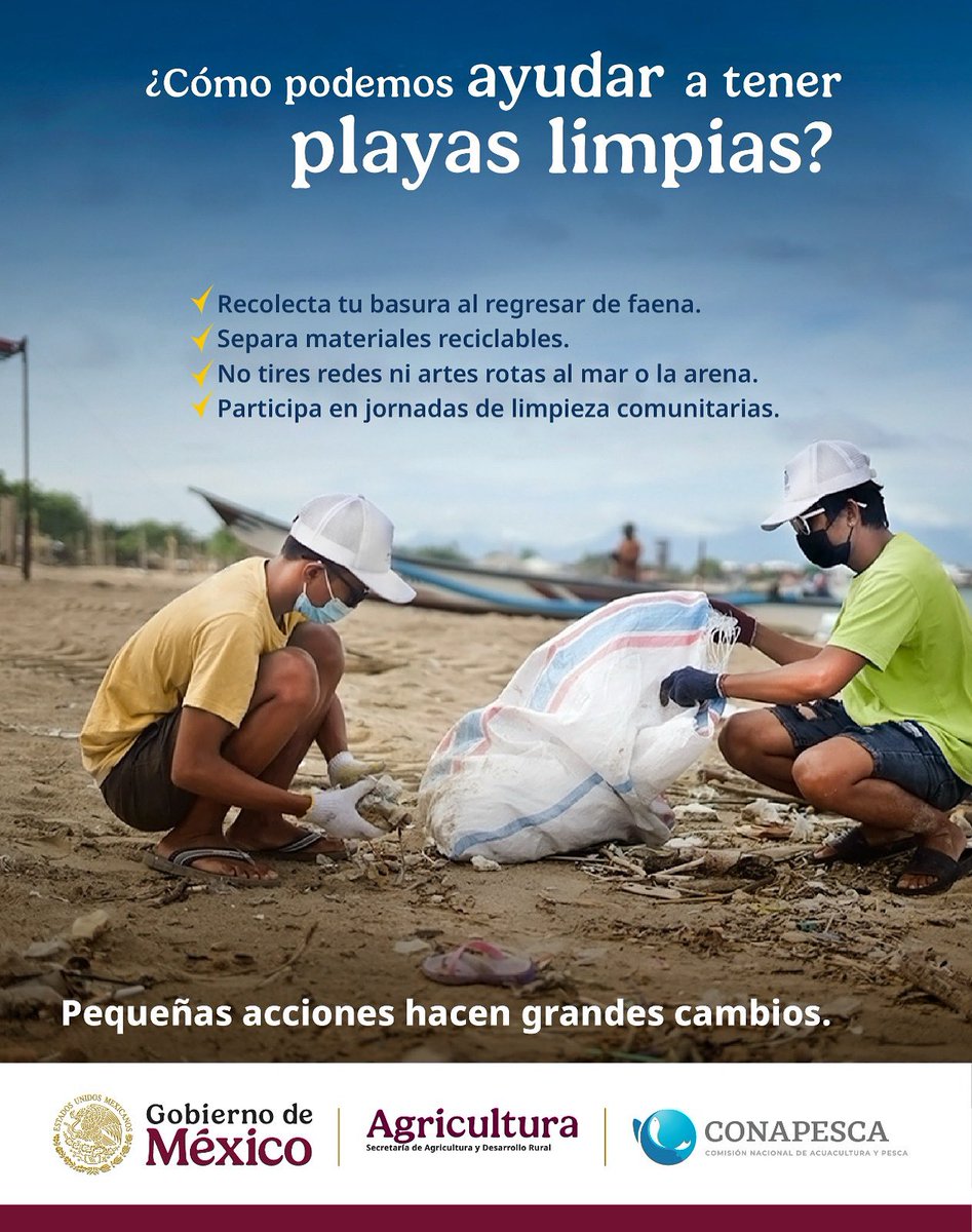 Conapesca's tweet photo. Cuidar del mar y de sus especies está en tus manos.

#AmaTuPlaya #NoContamines #AdoptaTuPlaya #ConapescaContigo https://t.co/W9H1FU7FAl