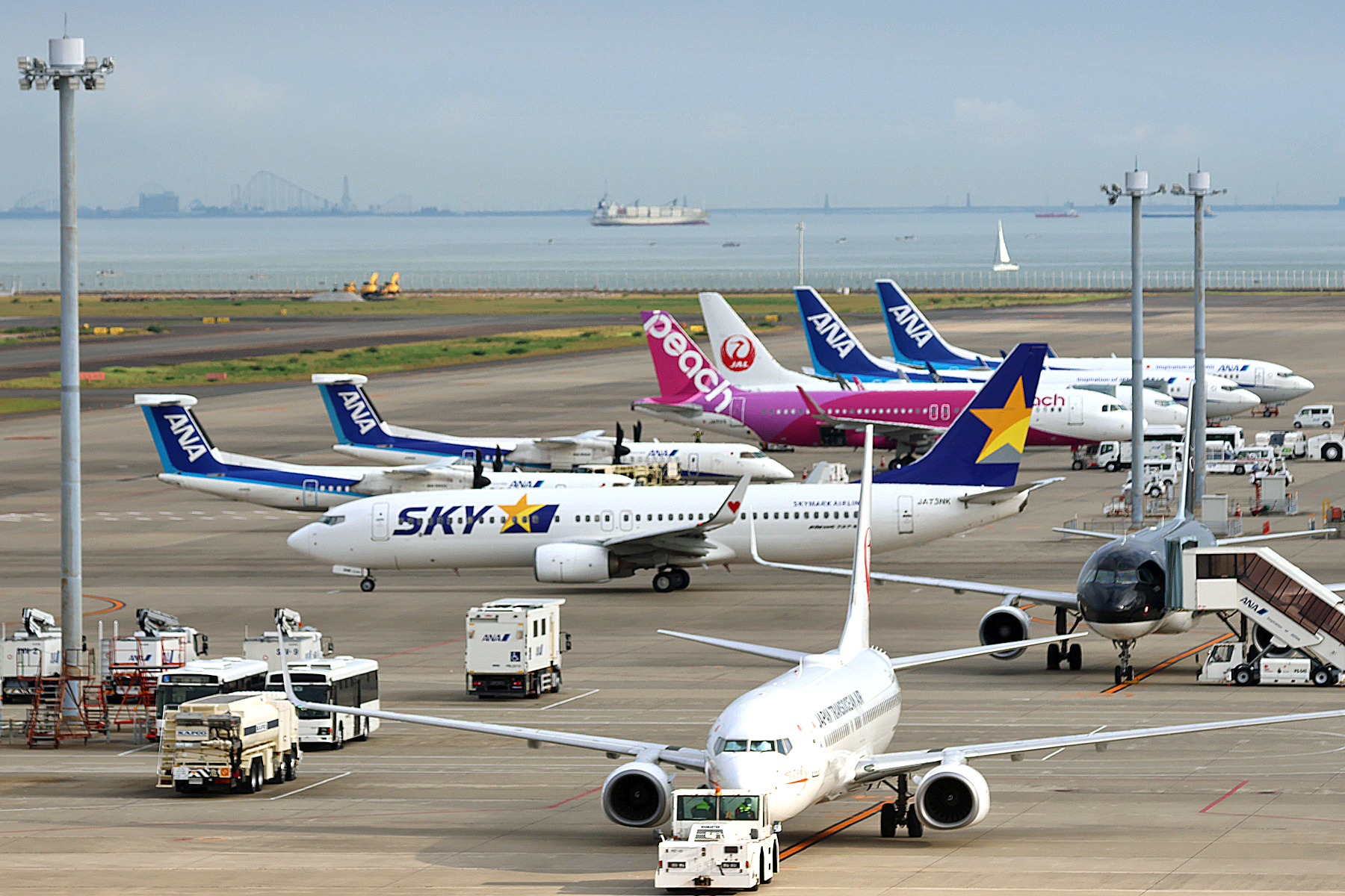 Excellence in Flight様　確認用 Amazon.co.jp: 【医師推奨】LEXA LXG650｜FDA認証 低出力