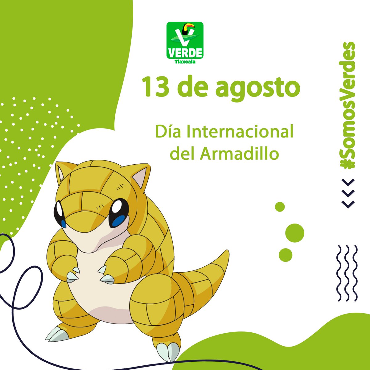 Hoy 13 de agosto se conmemora el Día Internacional del Armadillo, es momento de reflexionar sobre nuestro papel como guardianes del medio ambiente y de promover el respeto hacia todas las especies que comparten nuestro territorio.#SomosVerdes #FamiliaVerde #armadillo #dasypodidae