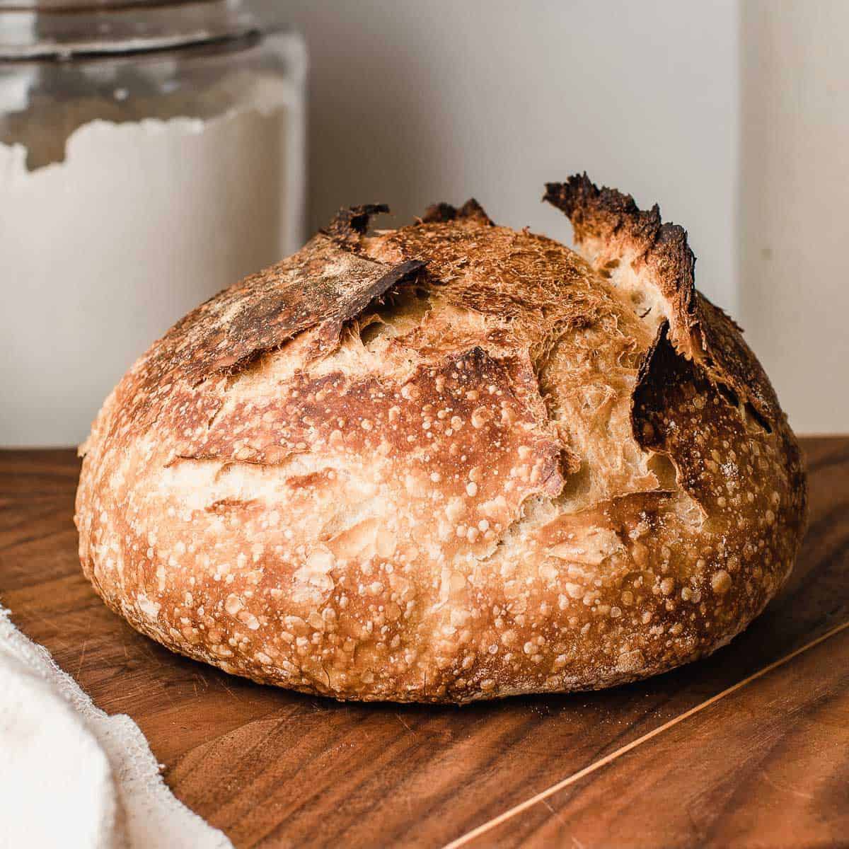 tswifterastour's tweet photo. 🚨| Taylor Swift reveals on New Heights that she stalks sourdough bread online

"I'm on your blog" https://t.co/CZoRPbUma3