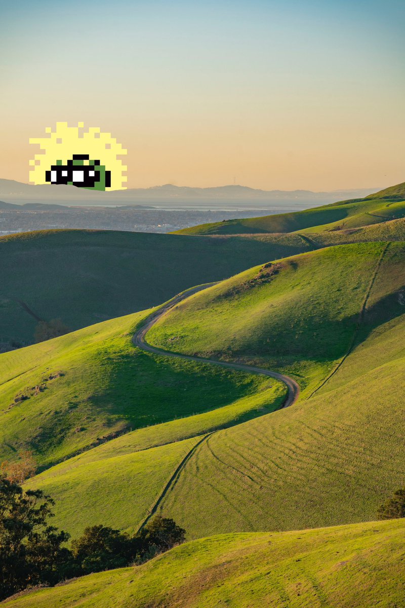 PepePhunksV2's tweet image. Gm 🌞

#Pepephunks