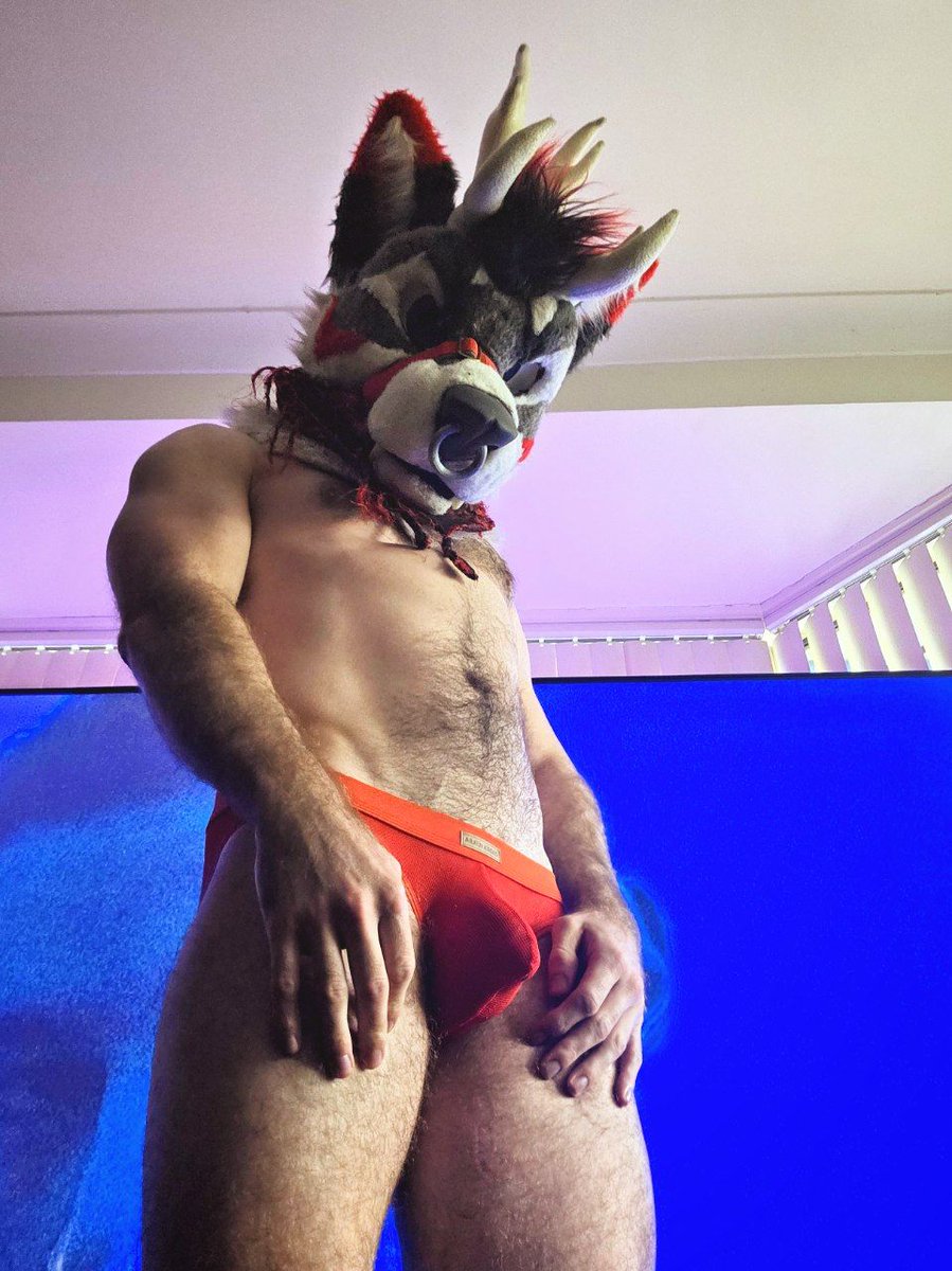 Shag Stag 🔞 tweet media