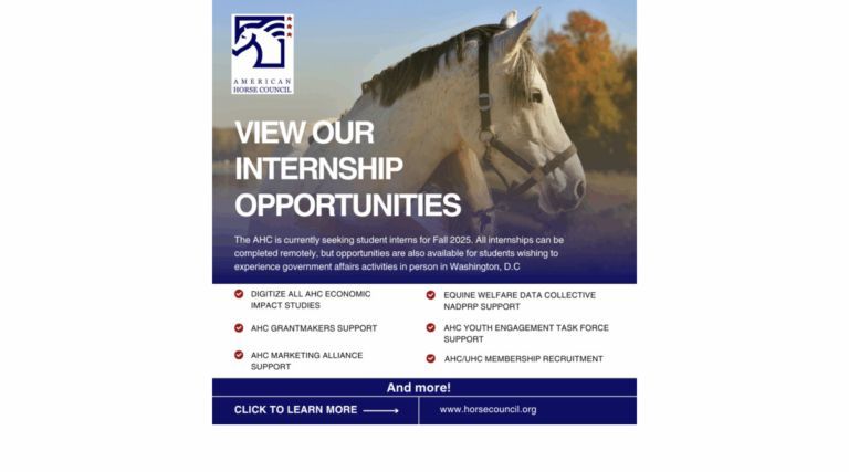 The AHC is currently seeking student interns for Fall 2025. All internships can be completed remotely, but opportunities are also available for students wishing to experience government affairs activities in person in Washington, D.C. buff.ly/rRrKO2f #equinecareer #horses
