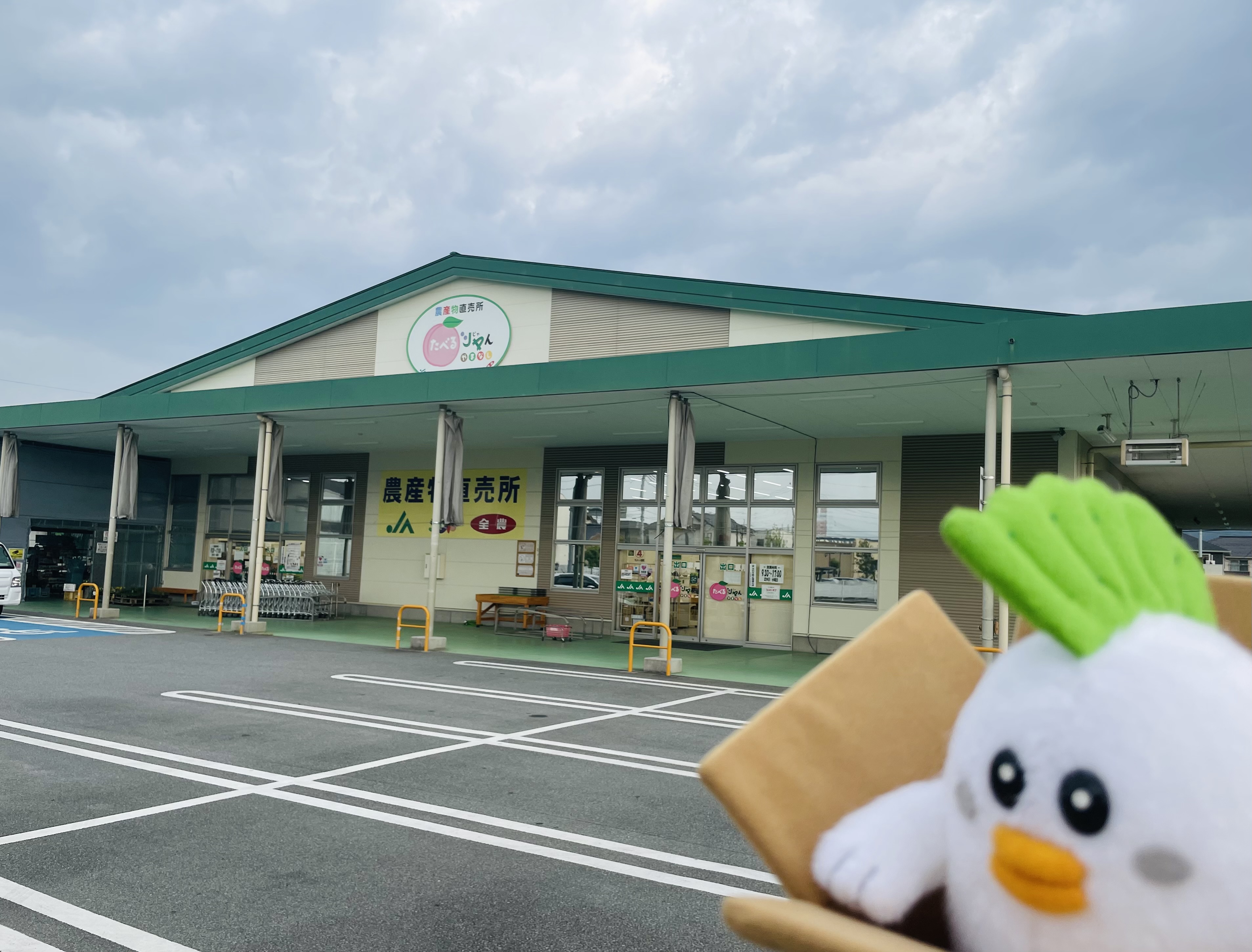 YUZU💕 (@_YUZU__yuzu) / X