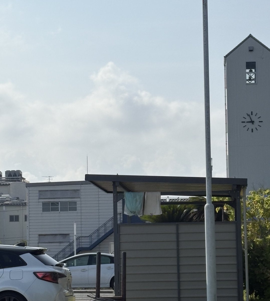 sneamaco's tweet photo. お仕事お仕事 https://t.co/kwjGavF0Sq