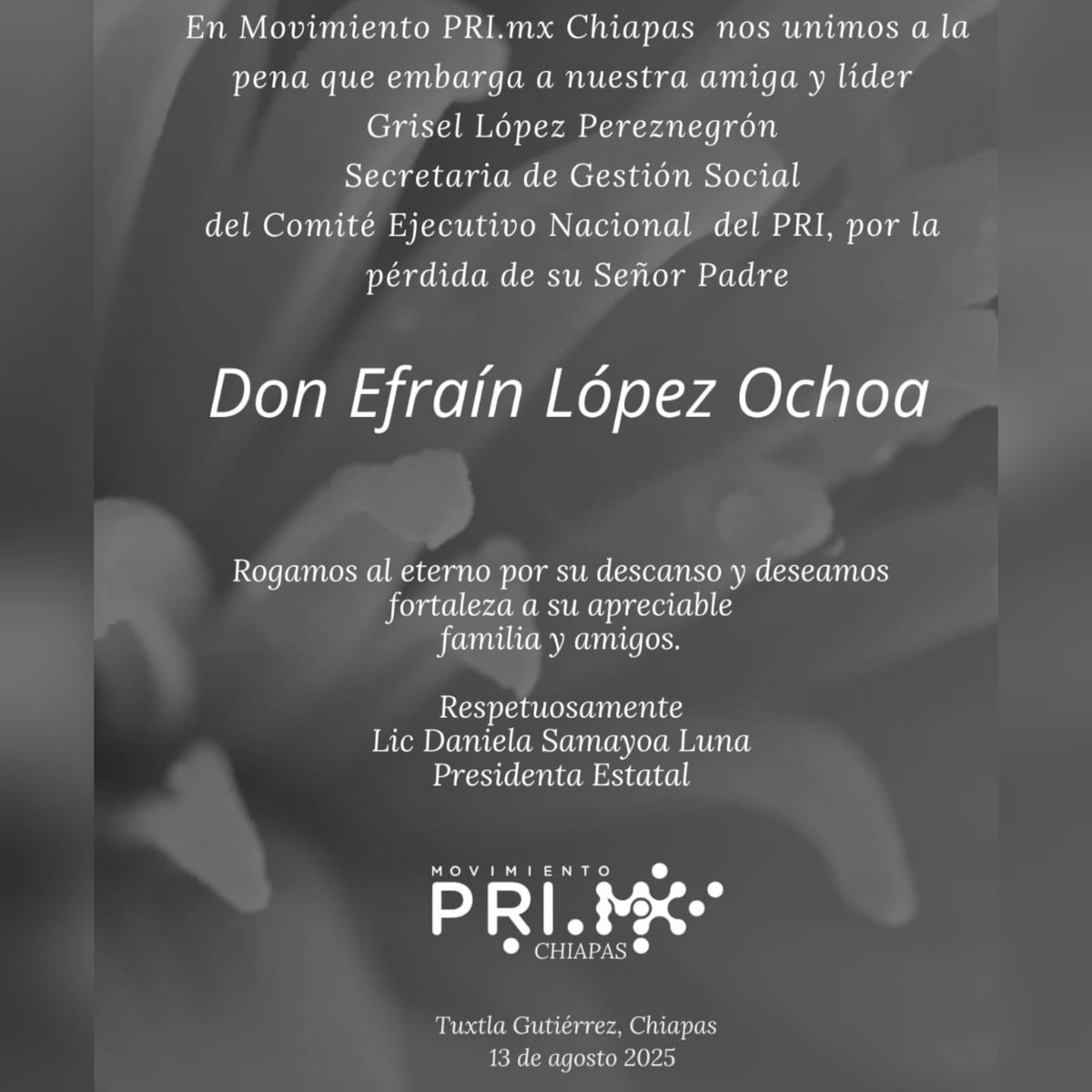 Los que integramos el Movimiento PRI Mx Chiapas, acompañamos en su dolor a nuestra amiga <a href="/grispereznegron/">Gris Pereznegrón</a>, Secretaria de Gestión Social del <a href="/PRI_Nacional/">PRI</a>. Lamentamos su profunda pérdida y elevamos una oración solidaria en estos momentos difíciles. 🕊️🤍