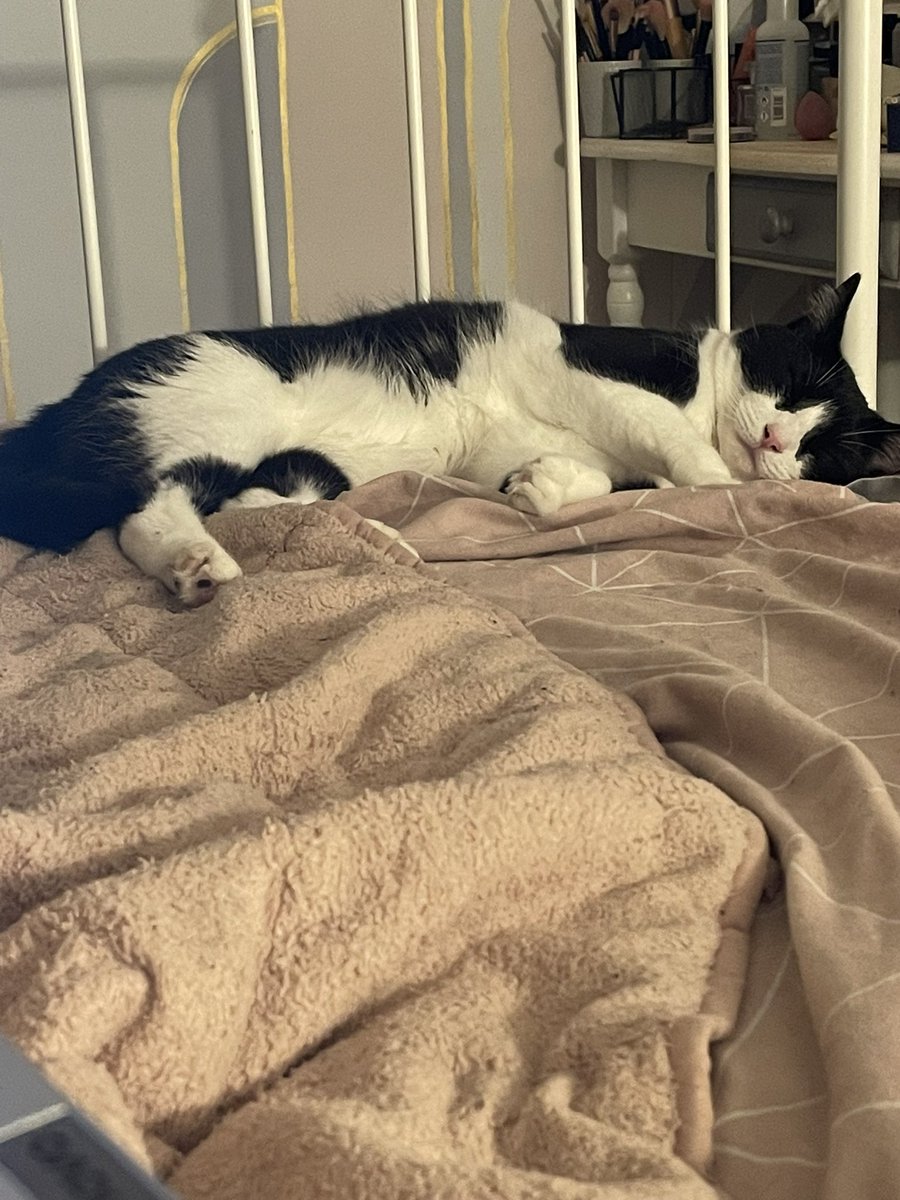 BethAriel4's tweet photo. @taylornation13 Sadly he is sleeping through it but when he wakes up he will know! https://t.co/TbG5v66Y8A