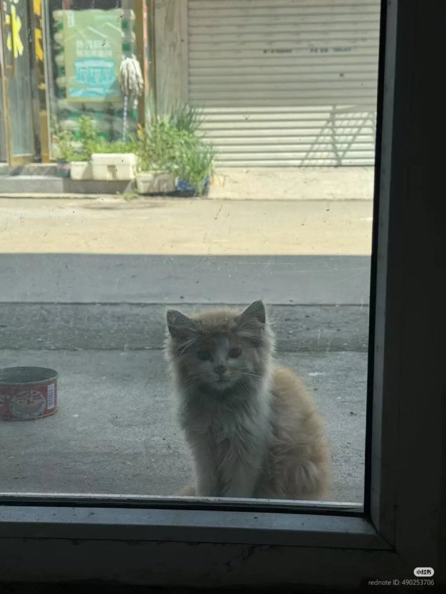 would u open ur door for him? 🥹