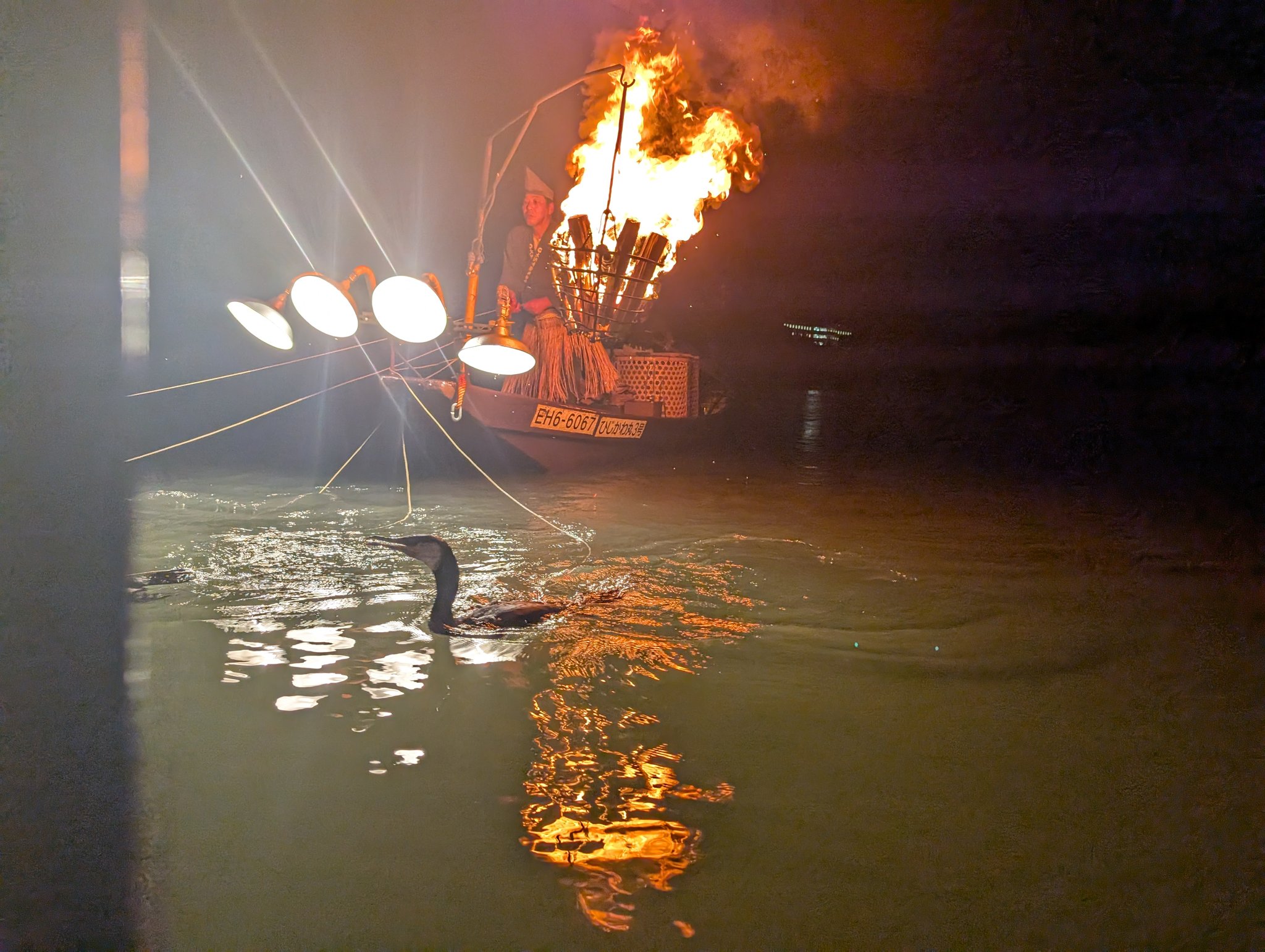 鵜飼い - অনুসন্ধান / X