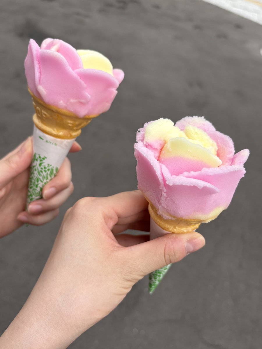 _ayane_suzuki's tweet image. お友達と秋田に行きました✨
ババヘラアイス秋田駅前で食べられたの〜
お友達は また私を背景に入れて記念写真撮ってました😹