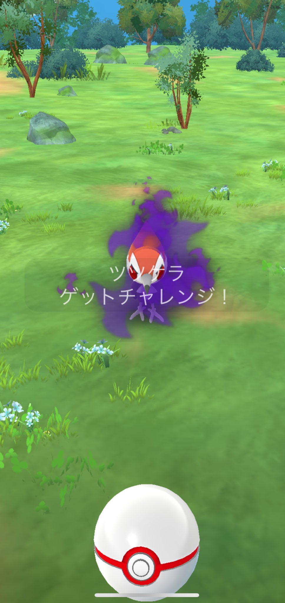 さがられい🐈はまっ子どうぶつ on X: 