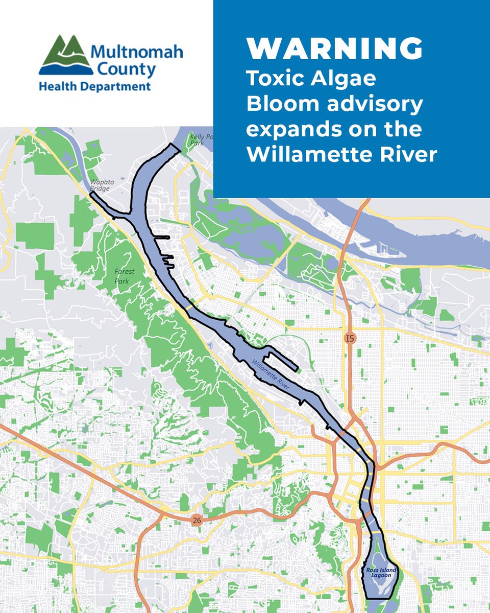 MultCoHealth's tweet image. ⚠️UPDATE: Recreational use health advisory expanded for the Willamette River due to toxic algae bloom. Do not swim in these waters &amp;amp; keep pets away. Do not drink the water, even if you boil it. It can cause serious illness. Current advisories here: bit.ly/3KgGjBb
