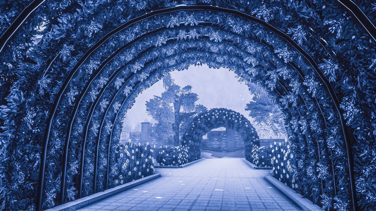 Neomance【VR Photographer】 tweet media