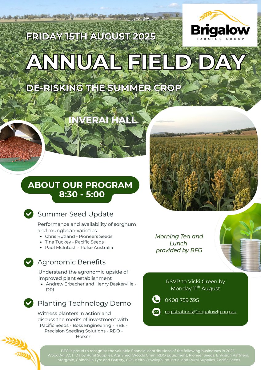 Charlotte Aves tweet media