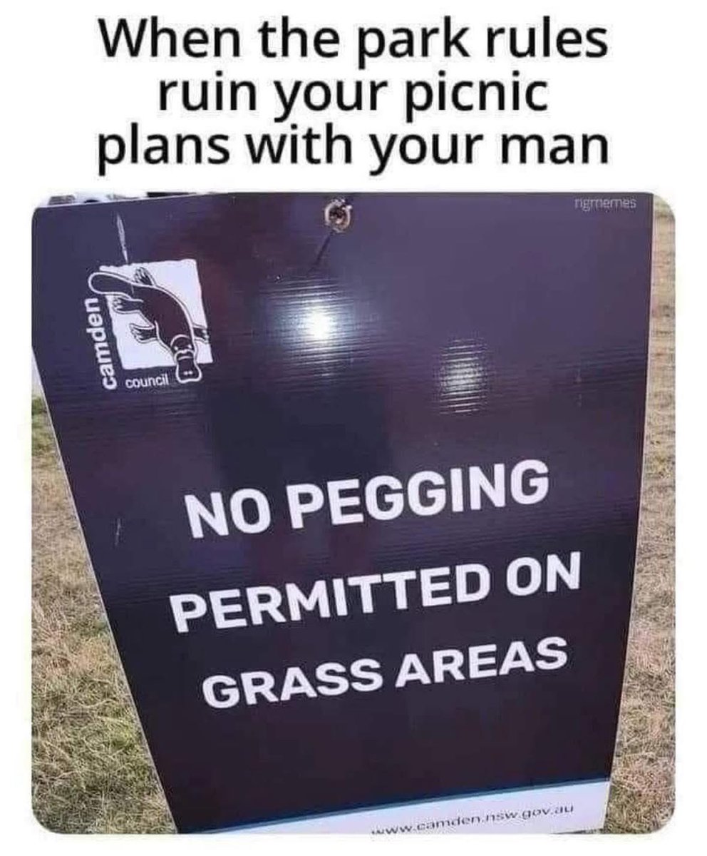 This Brainchild tweets (@memelord_sir) on Twitter photo 