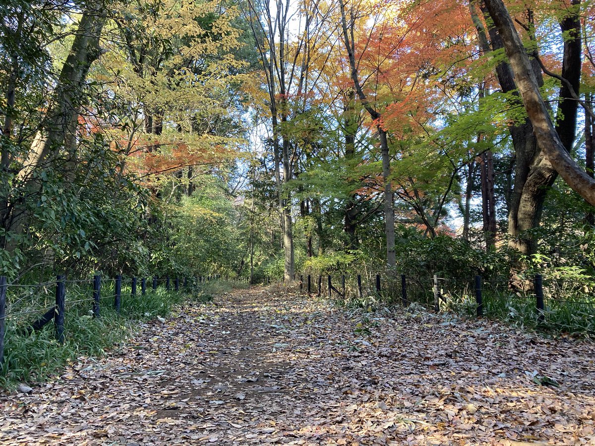 cosmixwahunokai's tweet image. 【COS-MIX！石神井】
会場　　石神井公園ふるさと文化館
西武池袋線「石神井公園駅」徒歩15分
開催日　12月6・7・14・21・27
9:45-16:30
事前申込制
cos-mix.jimdofree.com
＃コスミ