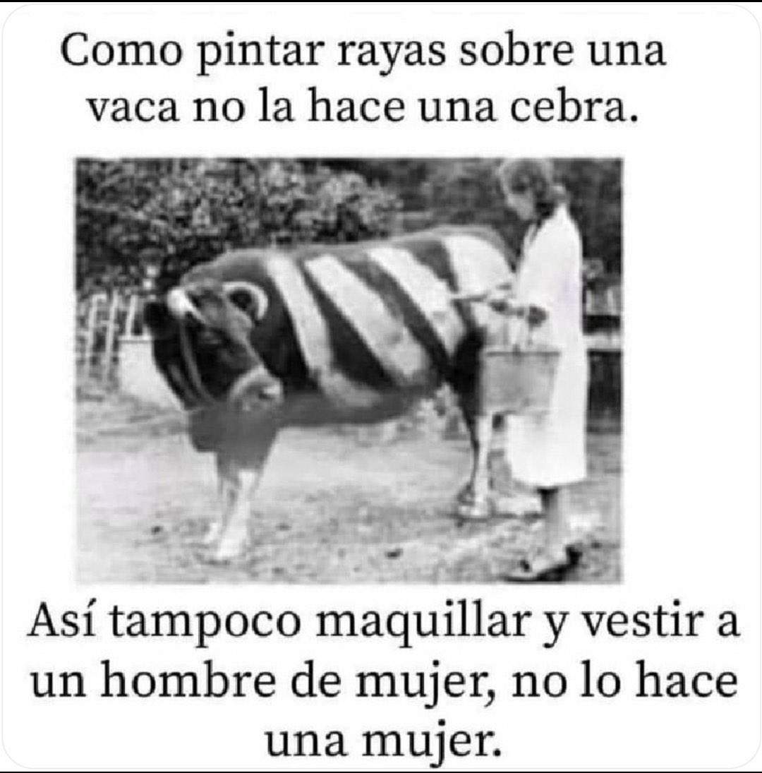 isacatelas's tweet photo. @RaulGtzNR @MetroCDMX https://t.co/LX2K8NcfGJ
