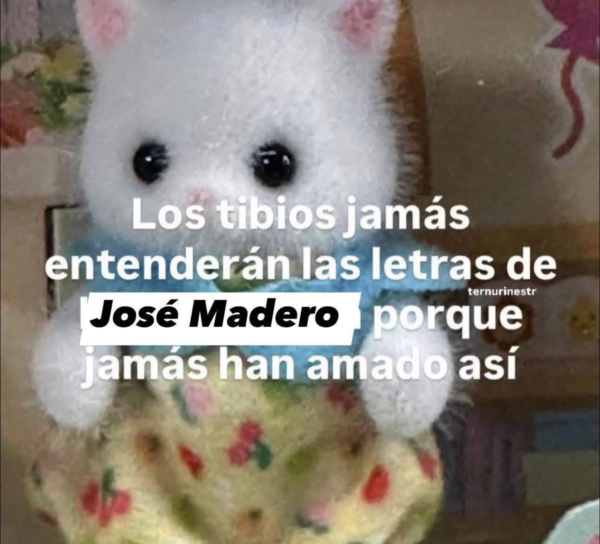 Out Of Context Descanso Indefinido (@contextofpxndx) on Twitter photo 