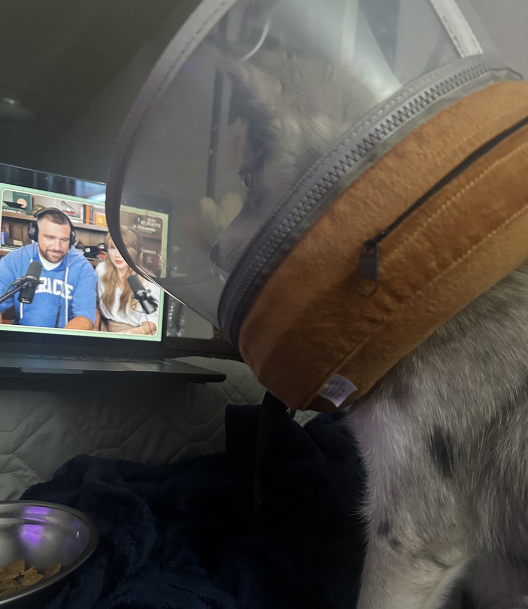 She sat for this #TSTheLifeofaShowgirl