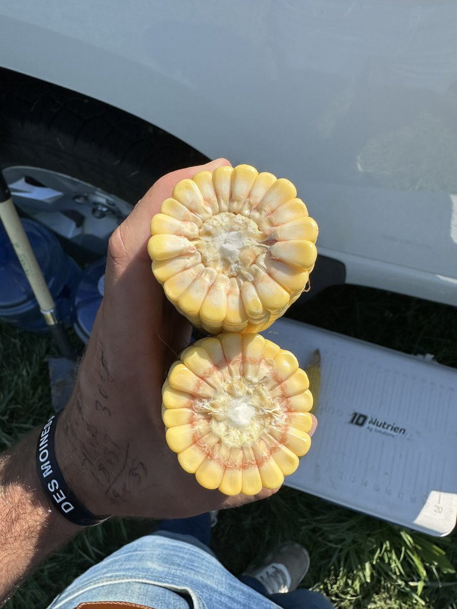 Dyna-Gro Seed, Cornbelt East tweet media