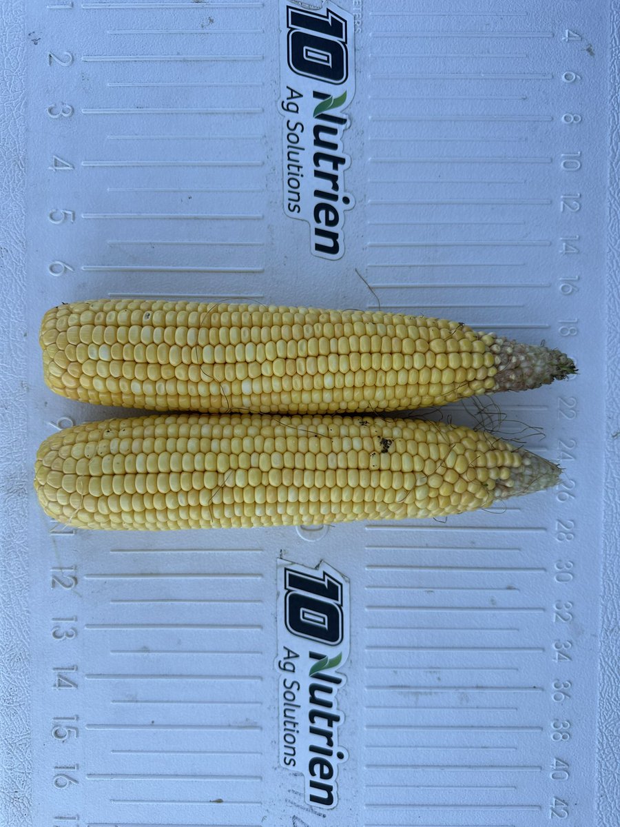 Dyna-Gro Seed, Cornbelt East tweet media