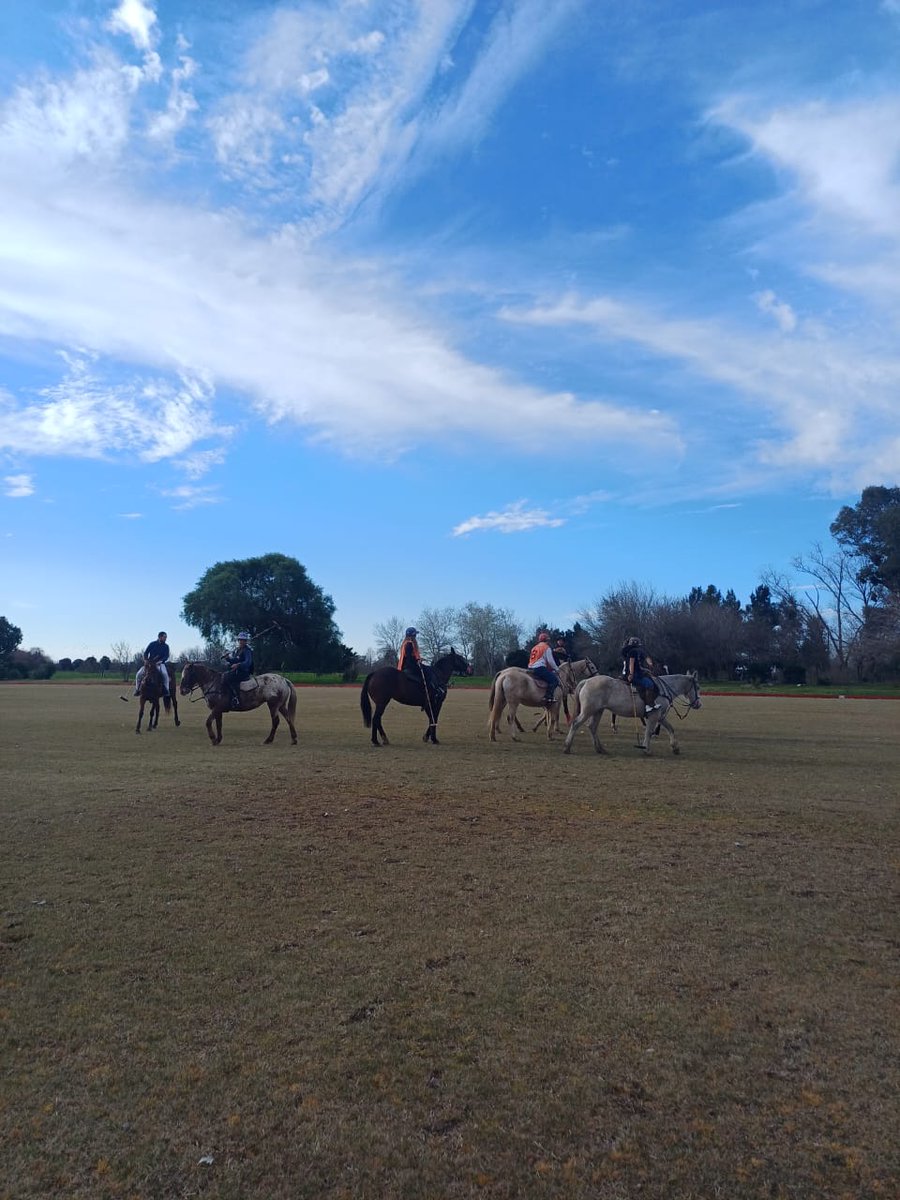 🏇 Asado criollo, vida de campo y la adrenalina del polo… todo a pocos minutos de Buenos Aires. Descubrí cómo vivir esta experiencia única en Argentina Polo Day   
📷argentinapoloday.com.ar/blog/dia-de-es… 

#ArgentinaPoloDay #PoloInArgentina #ExperienciasÚnicas #Turismo