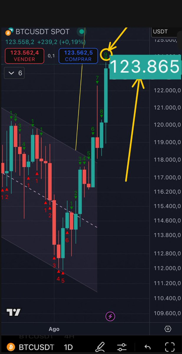 Oficialmente salió un nueve de venta en el diario. Es el diario, por lo que es corrección de una a cuatro velas. 
Entonces serían no una, no cuatro, sino de uno a cuatro días. #AstrologíaParaNiñosGrandes 

Es este el fin de #ZoiTreider y bitcoin entró en modo “me importa un 🥒 lo