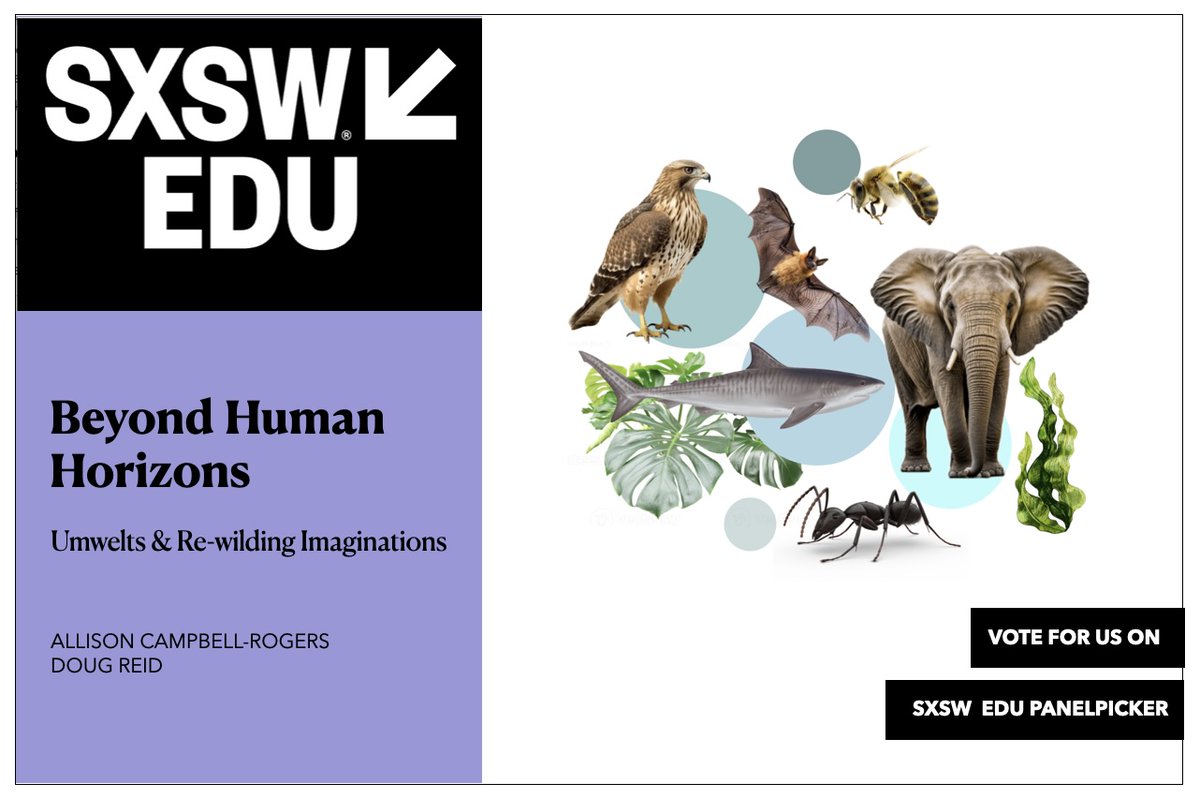 dougreid's tweet photo. Would love your vote for the #SXSW2026 #PanelPicker 
With fellow @OCAD Alum, Allison Campbell-Rogers. We're  pitching a session for Educators  where we explore the concept of umwelts to nurture imagination - an essential competency for futures literacy. https://t.co/TaaJylcHuR https://t.co/NT0svqNgCB