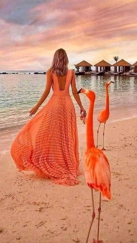 🧡🧡🧡