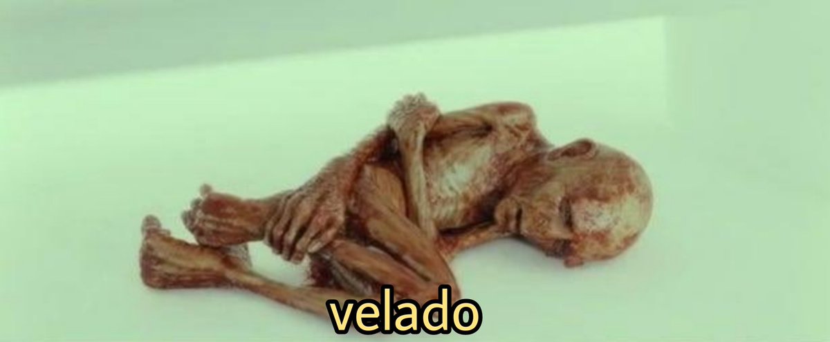 MemeMinistro's tweet photo. El tesorero de 24 años de una pyme que hizo mal el excel y esta usando descubiertos bancarios https://t.co/59IN0d2LCa
