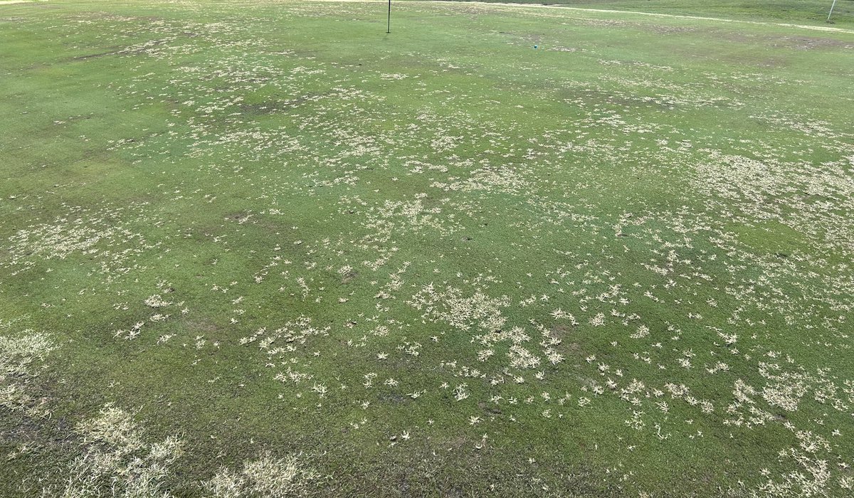 SuperProblems tweet media