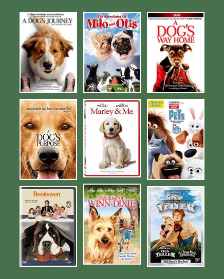 Docanand_kr's tweet image. दो रोटी गली के श्वान को खिलाओ अपना फर्ज समझकर ........उसी भी प्यार दो अपना दर्द समझकर .......
#straydogs