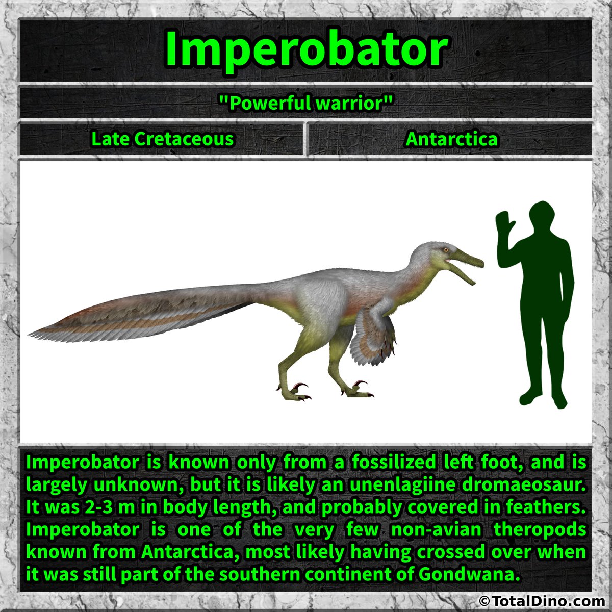 Total_Dino's tweet photo. #imperobator #dino #dinosaur #dinosaurs #cretaceous https://t.co/FKI5rmMSLI