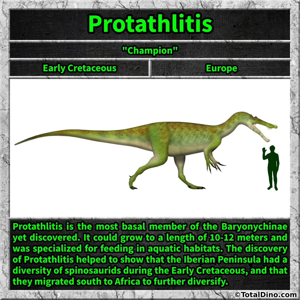 Total_Dino's tweet photo. #protathlitis #dino #dinosaur #dinosaurs #cretaceous https://t.co/80HfrIE6CJ