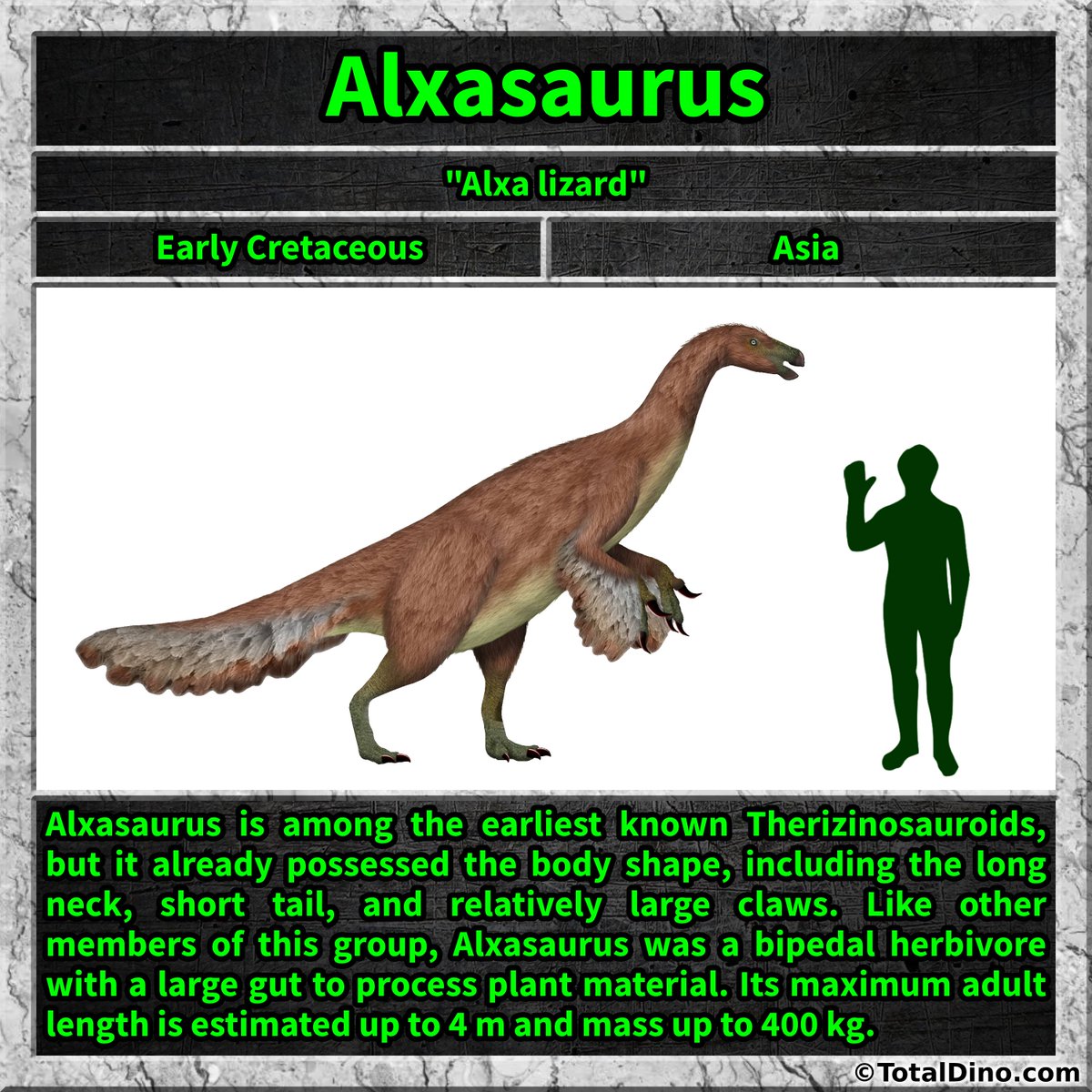 Total_Dino's tweet photo. #alxasaurus #dino #dinosaur #dinosaurs #cretaceous https://t.co/aceWwKDJbu