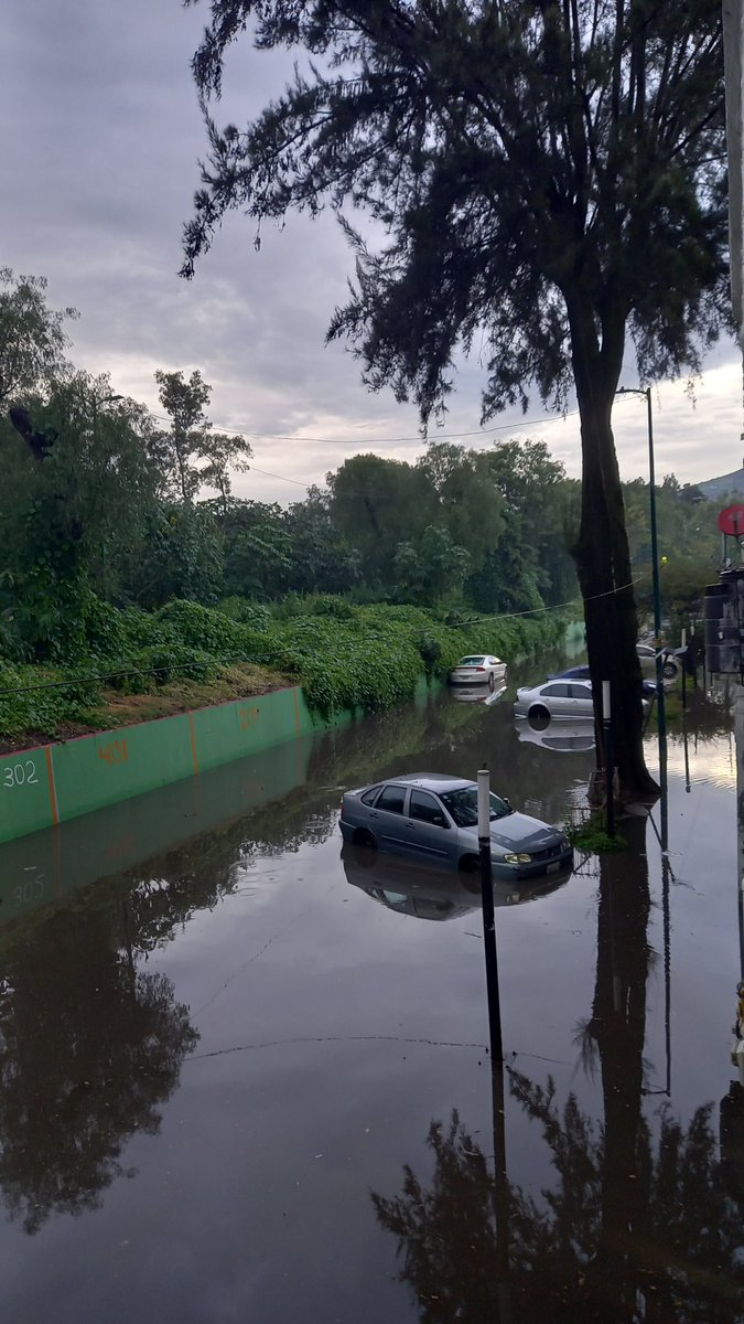 pisokihermoso's tweet photo. @yancolozano @TuAlcaldiaGAM @locatel_mx @Bomberos_CDMX 

Por las fuertes lluvias esta inundado av río san javier  arbolillo 1 alcaldía Gam  México cdmx 
El agua ya se metió a los edificios 
Por favor urge camiones bactor para desasolvar!!!! https://t.co/NezMSsgel0