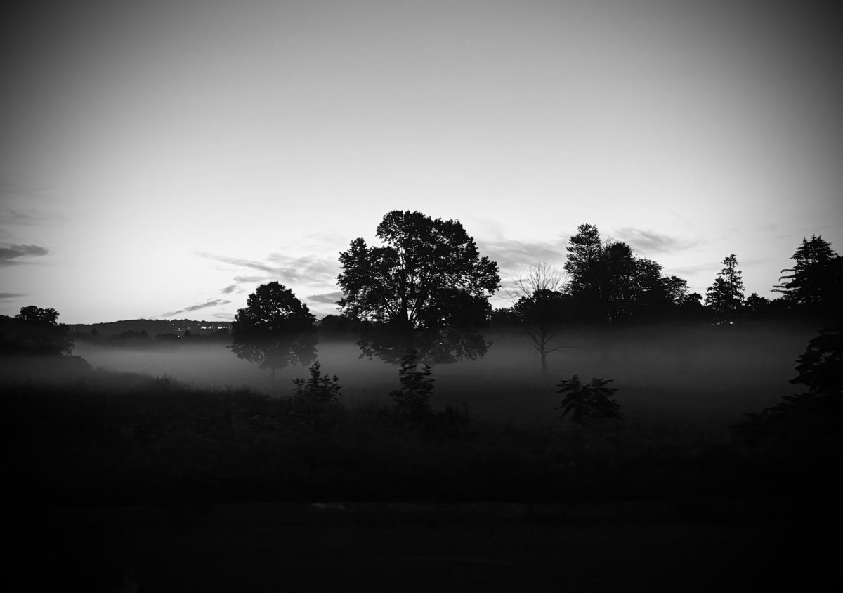cmt_digital3's tweet image. Morning mist rolling over the fields, captured in the calm before the day begins.