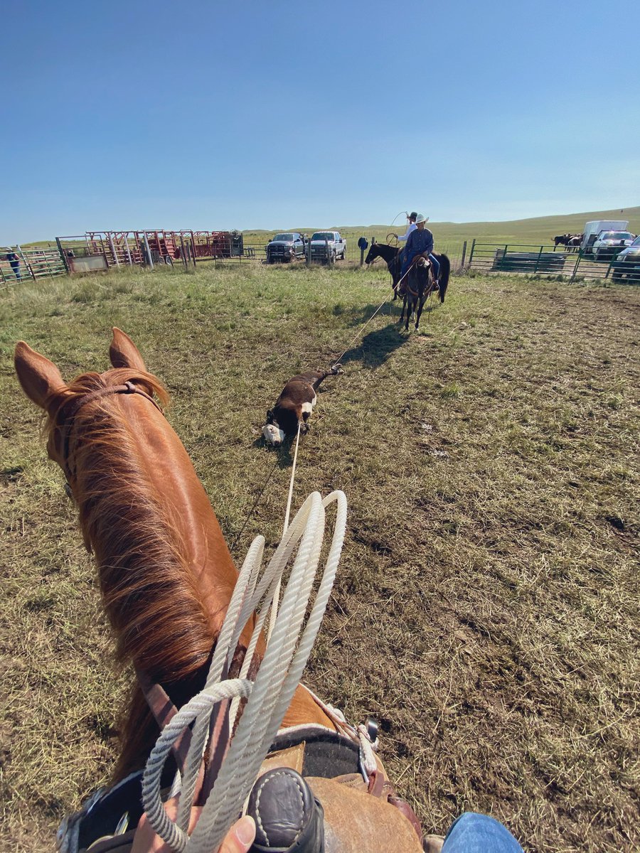 We’re not gotta talk about how we got here🤣