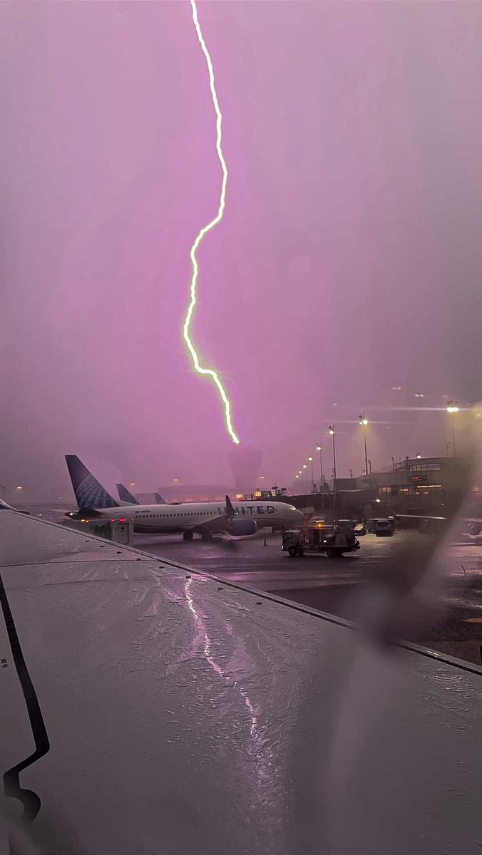 njdotcom tweet media